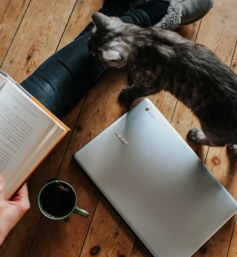 20 Companies with Location-Agnostic Pay in 2024